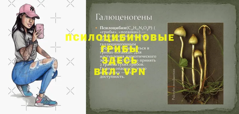 Галлюциногенные грибы ЛСД  дарк нет официальный сайт  Благодарный 